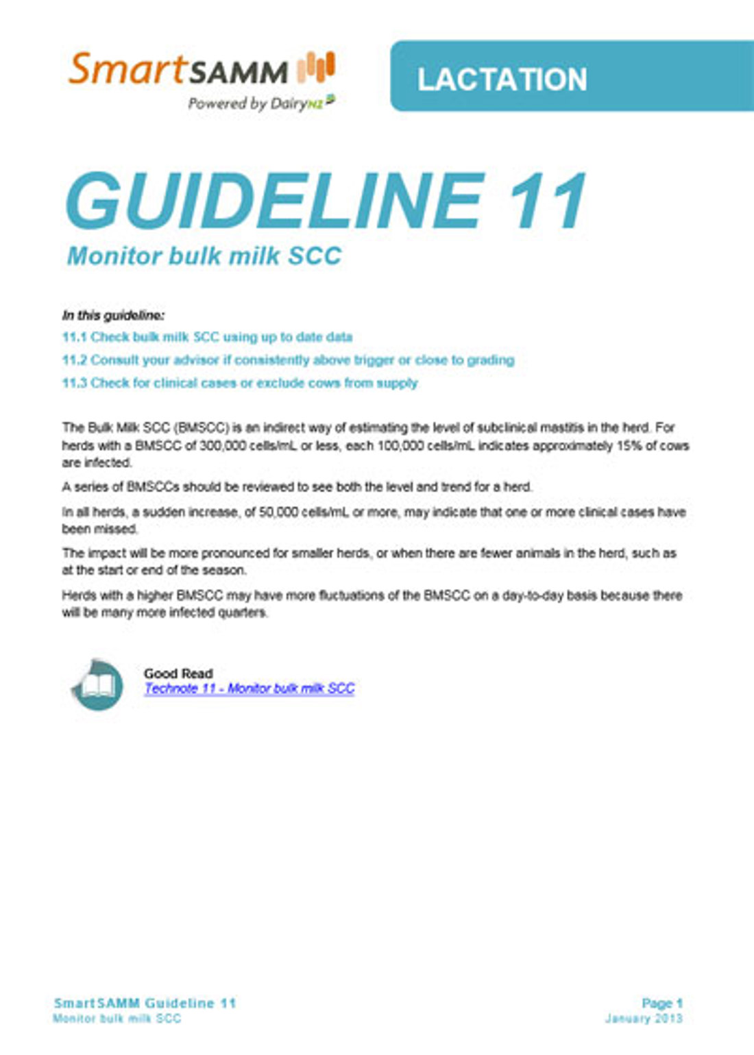 Guideline 11