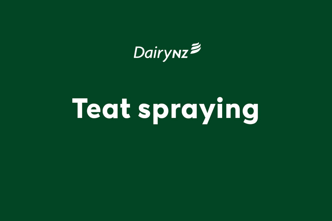 Teat Spraying Video Placeholder Image