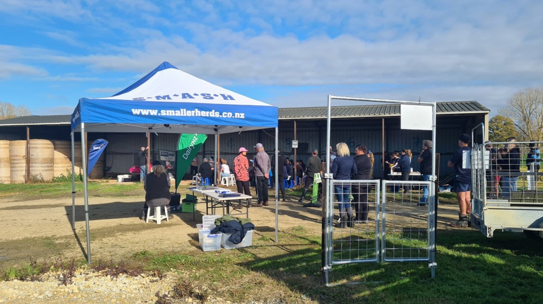 Inside Dairy Stronger Together Smash Image