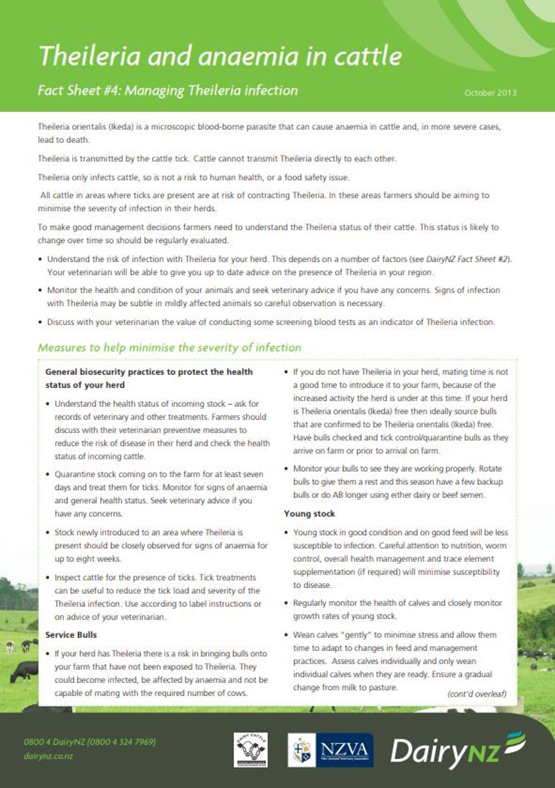 Theileria Factsheet 4 Image