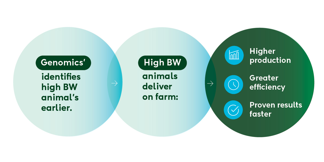 Genetic Gain Diagram