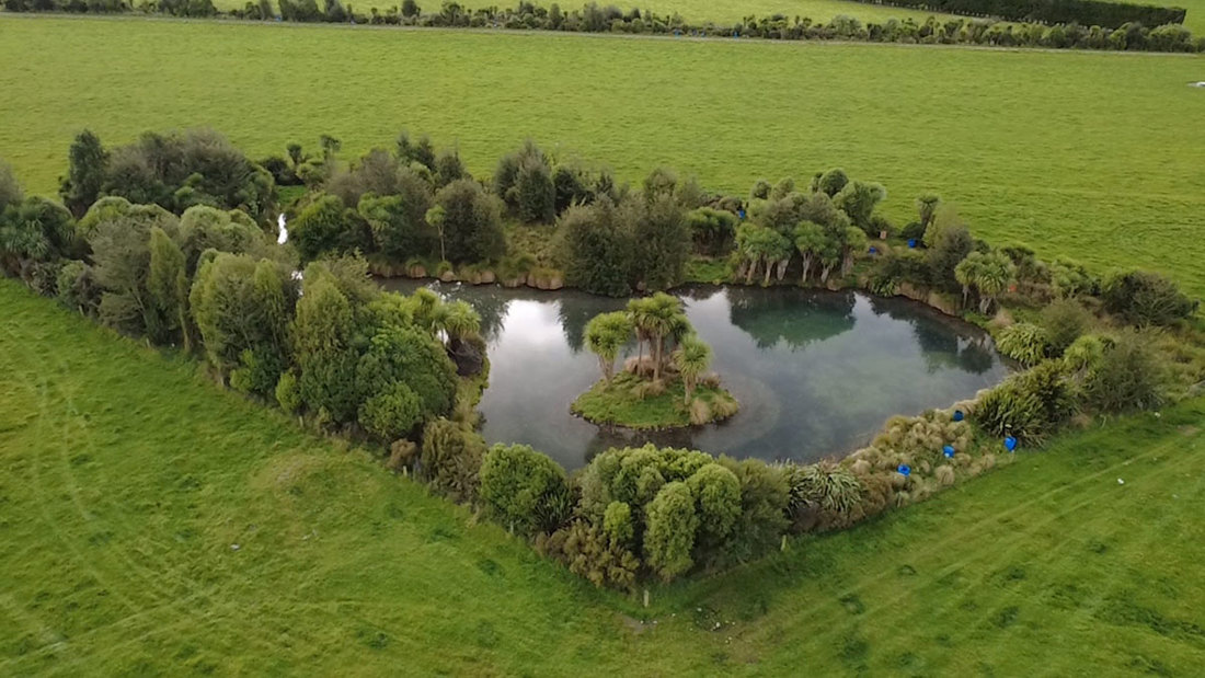 Stream Restoration In Ashburton Image4 1200X675