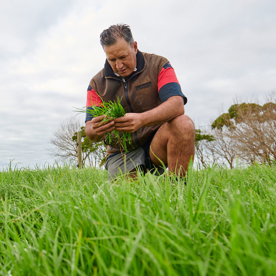 Resilient Pastures Current Research 1500SQ