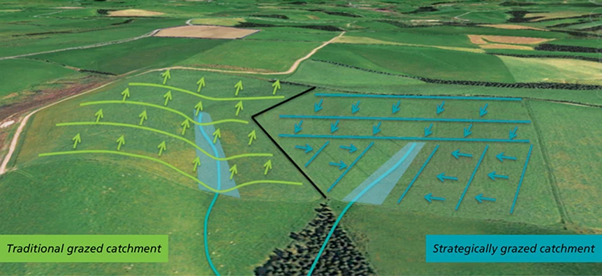 strategic-grazing-graphic.webp (862×395)