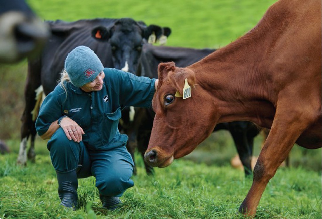 Practical Solutions Image