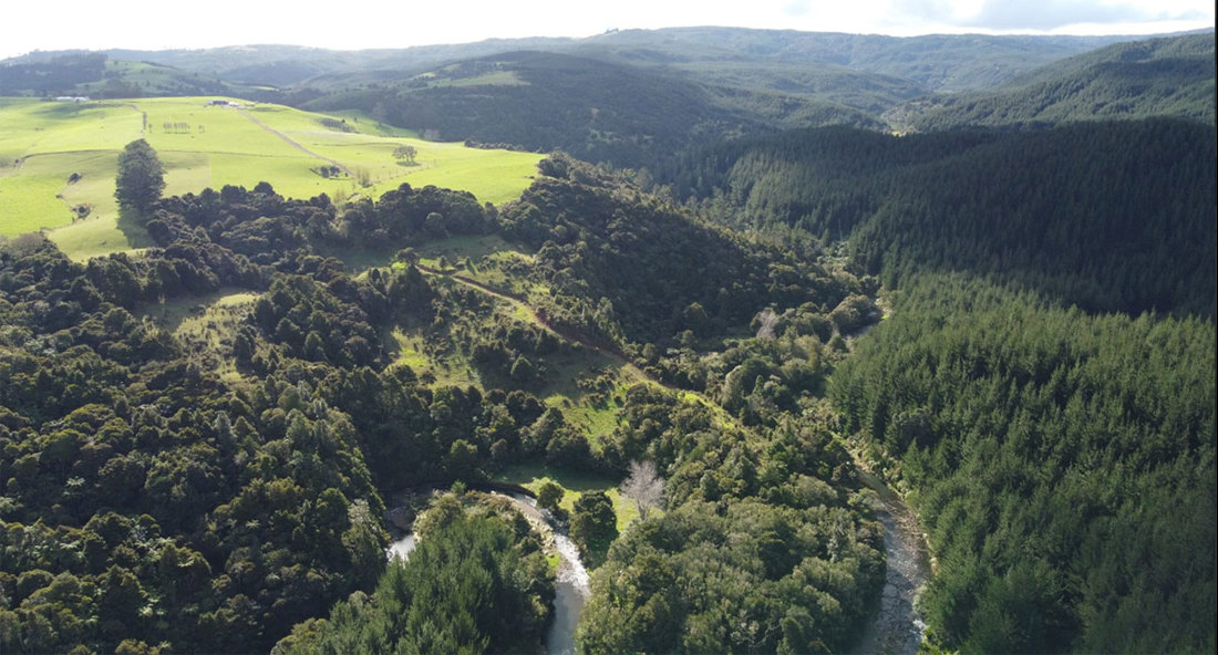 Restoring Wetlands In Northland Collins Image4 1300X700