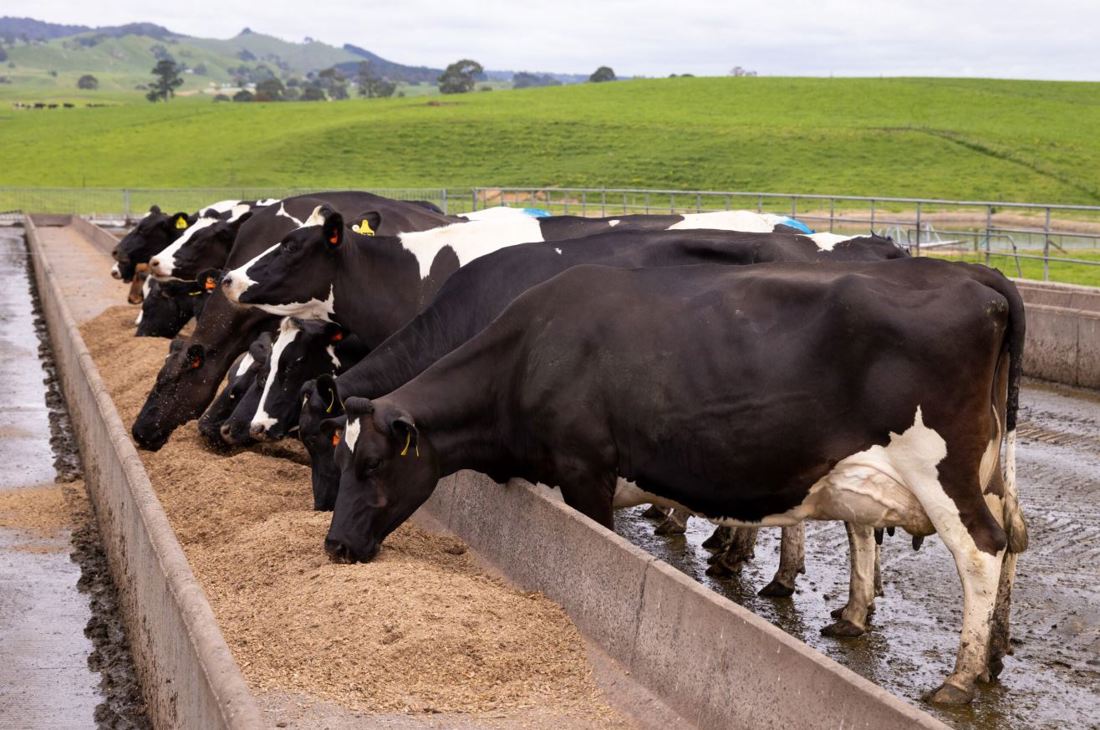 Inside Dairy Feb To April 2025 Bill And Michelle Burgess 5