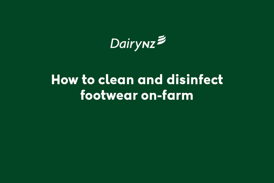 How To Clean And Disinfect Footwear Fmd Video Placeholder Image
