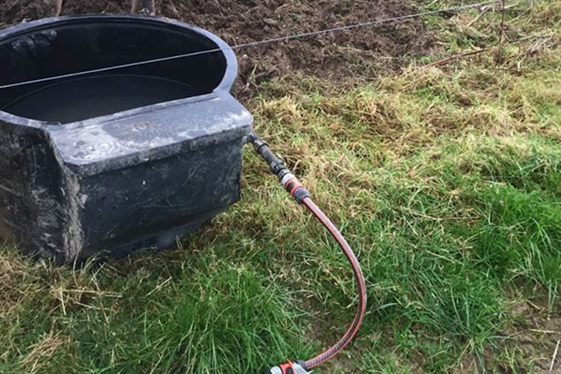 An in paddock portable trough example for winter grazing.