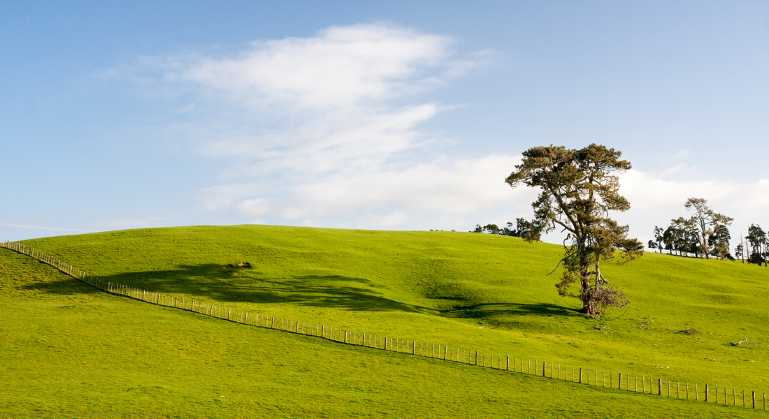 A wide farm landscape