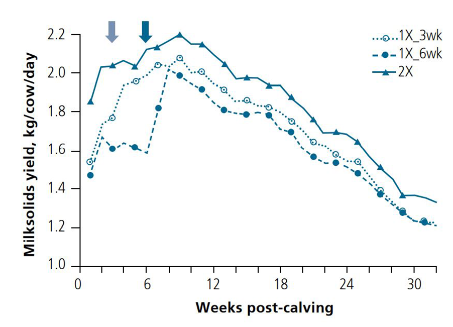 Early Lactation OAD Research