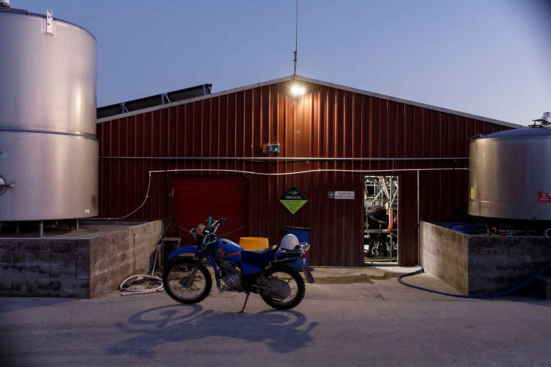 A blue farm motorbike parked outside a farm dairy in the early morning
