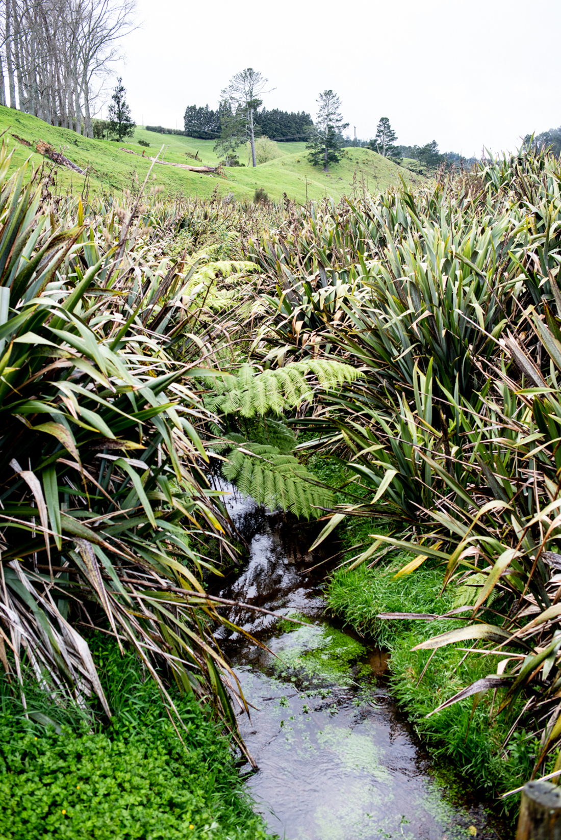 An image of an agricultural drainage