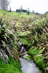 An image of an agricultural drainage