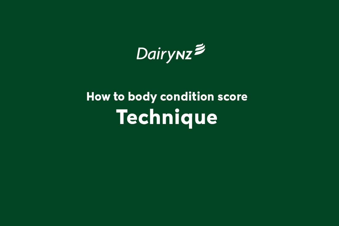 How To BCS Technique Video Placeholder Image