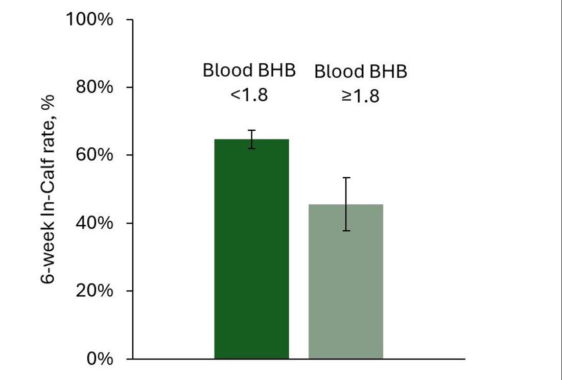 Blood Bhb And Cow Performance Graph Figure 4