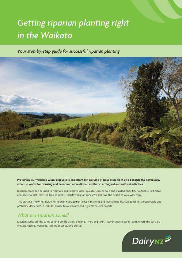 Getting Riparian Planting Right Waikato Image