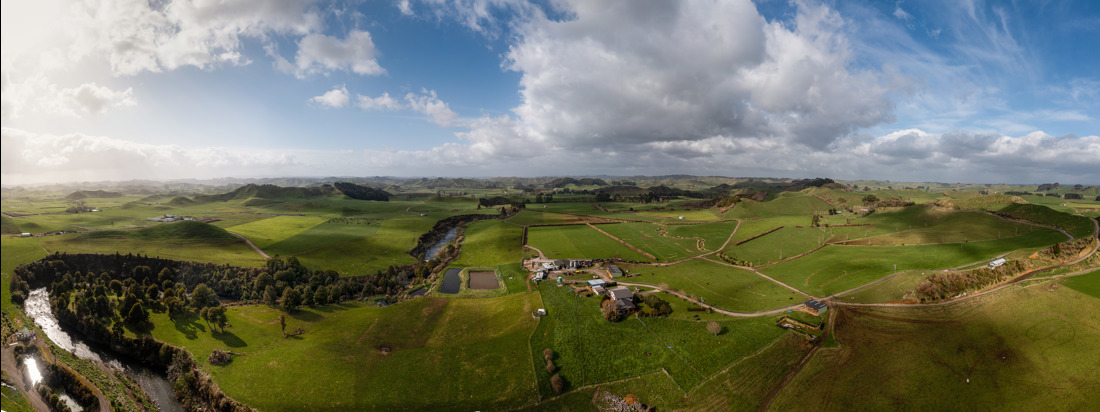 A wide view of the dairy farm