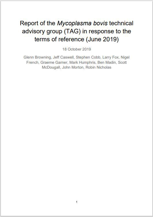 Mbovis Technical Advisory Group Final Report 2019 Image