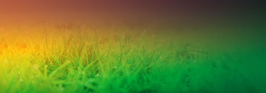 Autumn Smarts 2026 Campaign Hero Banner 2480X867