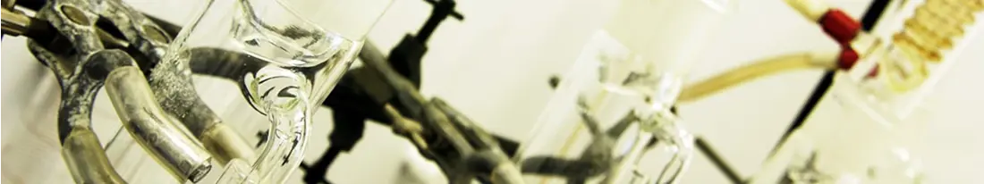 Research Banner 1