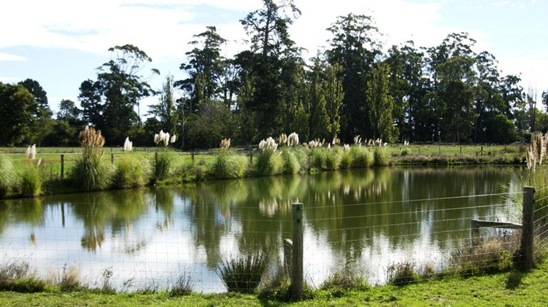 Rural Professionals Hub Farm Consultant Effluent Decisions Image