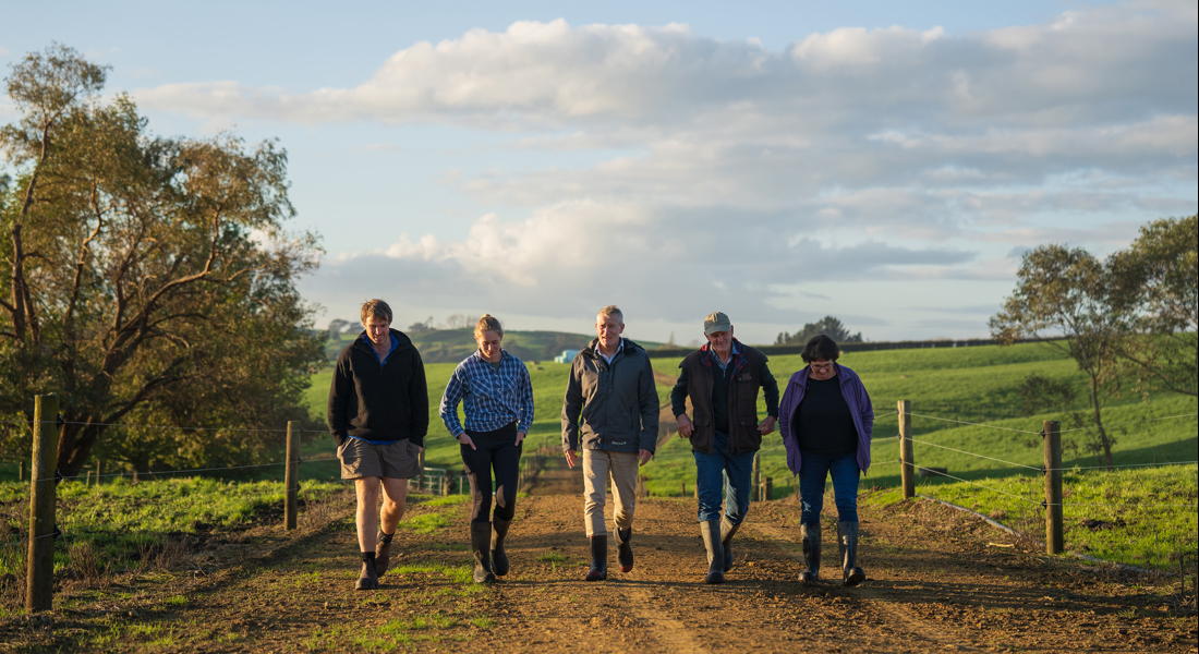 DairyNZ staff and dairy farmers walking down a fenced track surrounded by paddocks and trees 