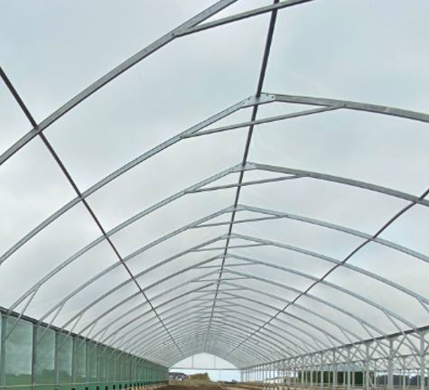 Off Paddock Investment Clear Plastic Structure