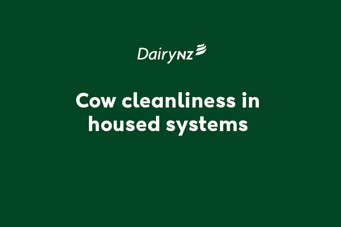 Cow Cleanliness In Housed Systems Video Placeholder Image