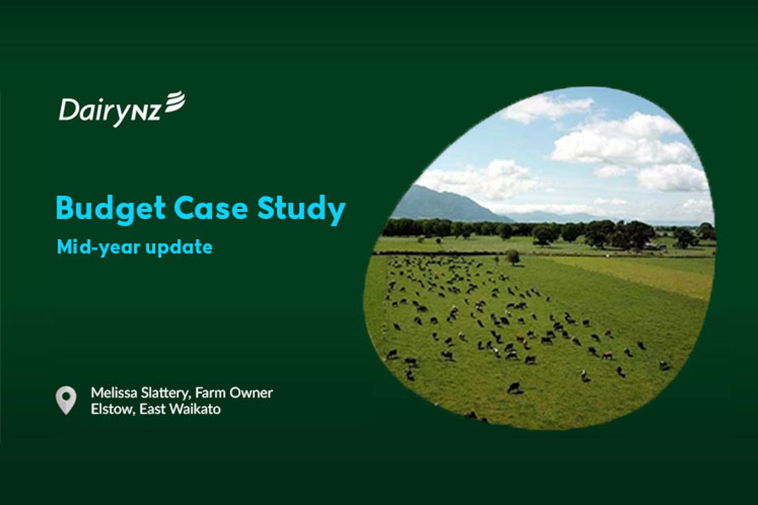 Budget Case Study Melissa Slattery Mid Year Update Video Placeholder Image