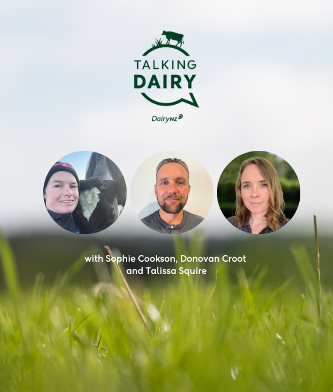 Best Of 2025 What's New Carousel