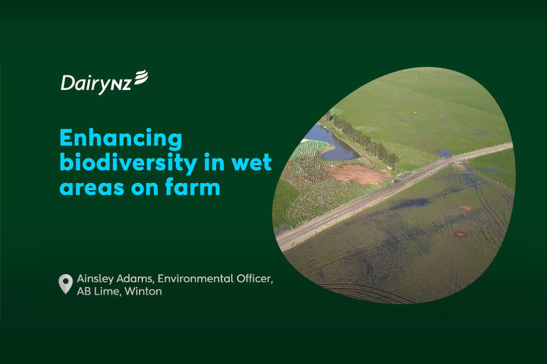 Biodiversity Creating Biodiversity And Recreational Hotspots In Wet Paddocks On Farm Video Placeholder Image