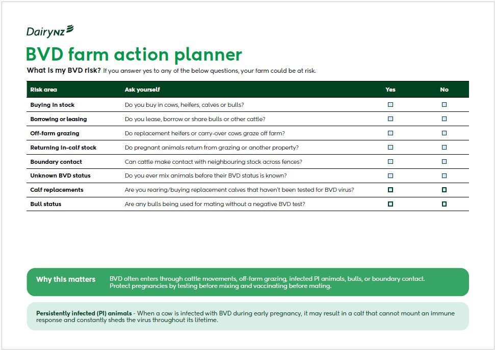 BVD Bovine Viral Diarrhoea farm action planner image