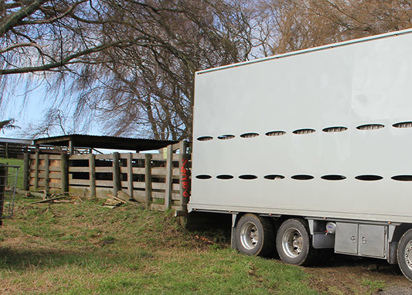 Good Use Of Existing Loading Facility