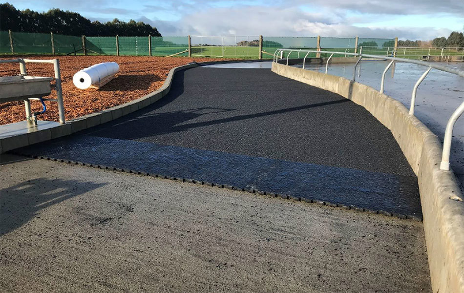 Graveled road for cows
