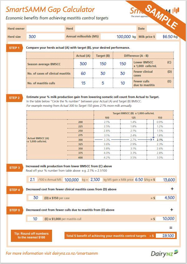 Smartsamm Gap Calculator Example Image
