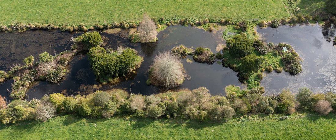 Inside Dairy Growth In A World Of Limits Riparian Planting Waterway 2000X832