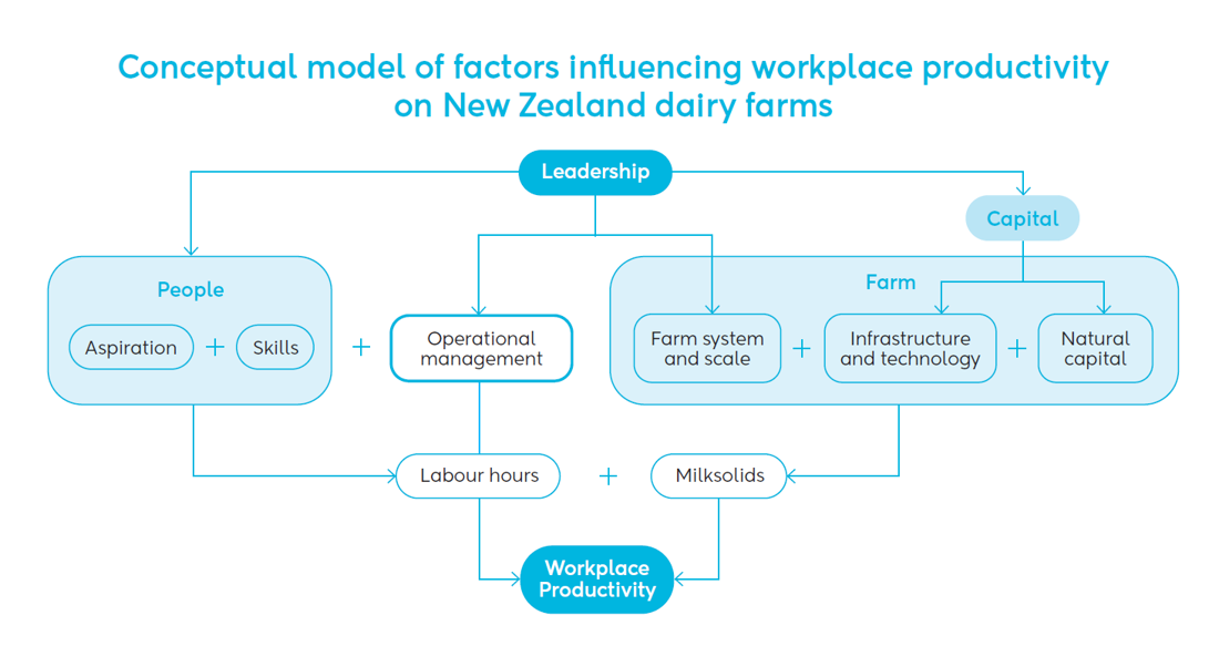 Workplace Productivity Influencers Diagram V2