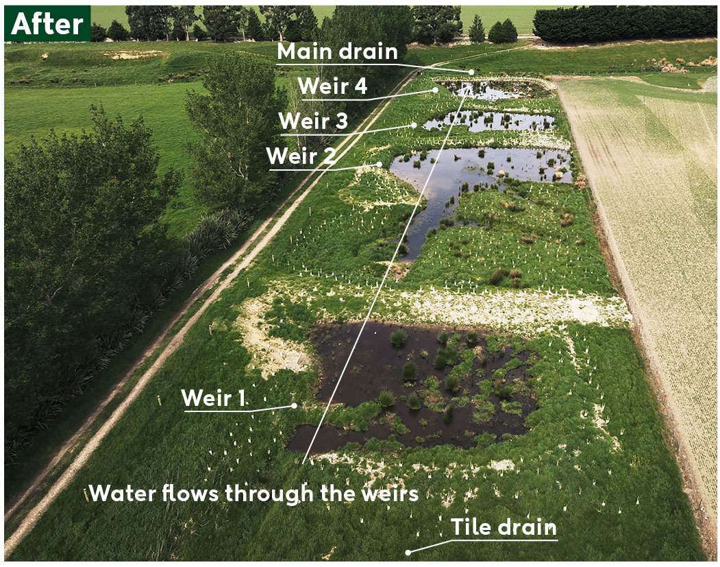 Wetlands After 1051Wide