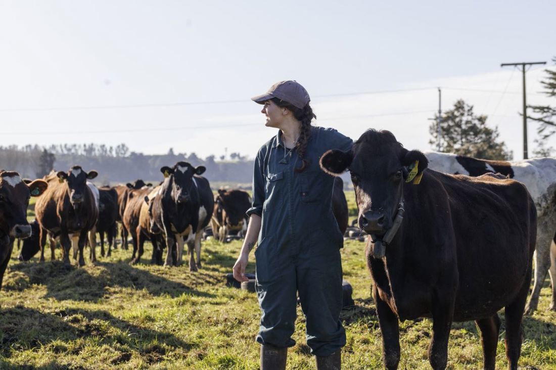 Spring Smarts Preventing Down Cows