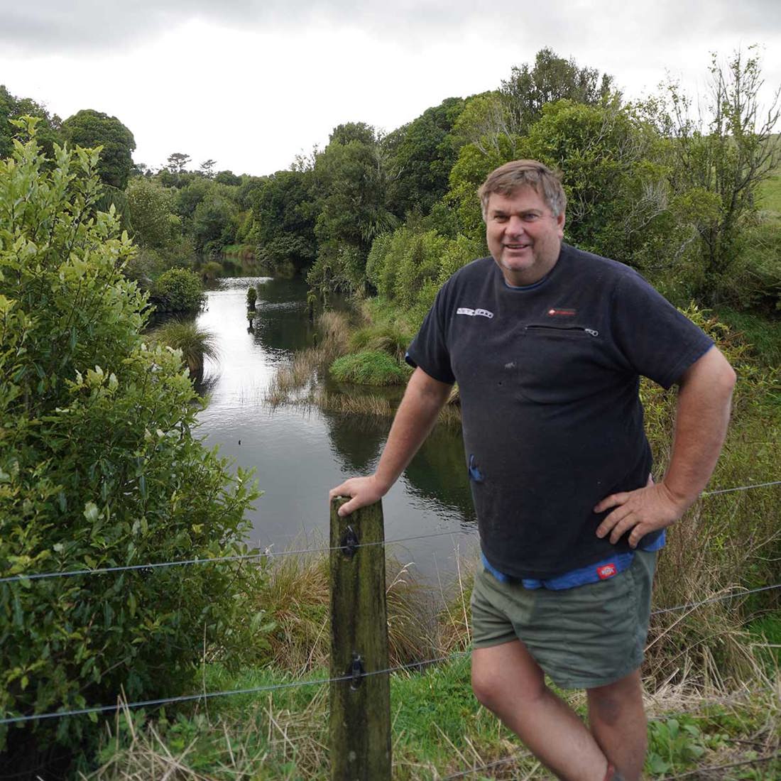 Riparian And Wetland Restoration Taranaki Image1 1200Sq