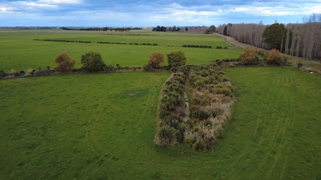 Stream Restoration In Ashburton Image13 1200X675