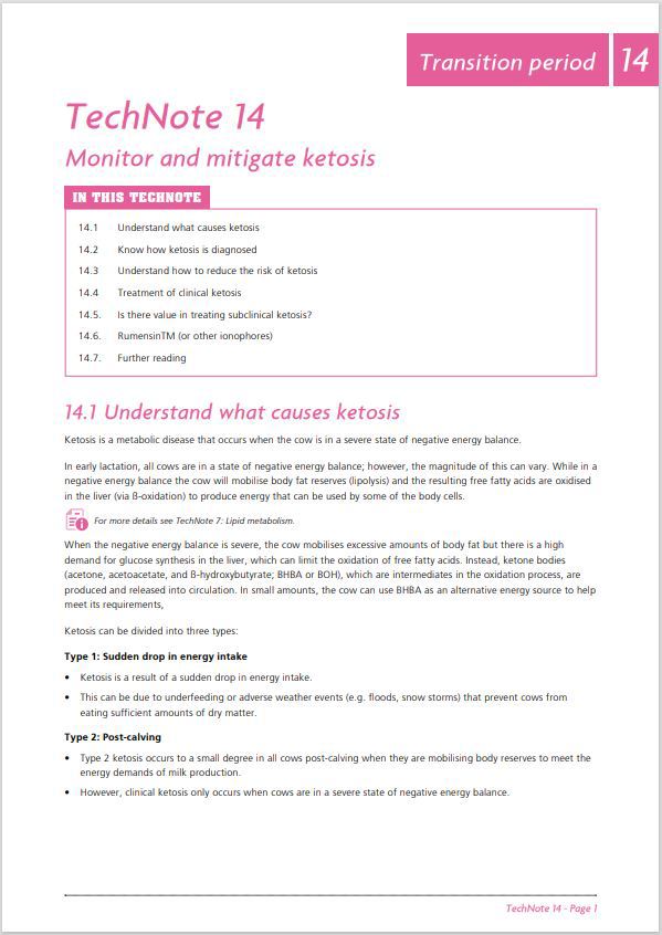Feedright Module 14 Image