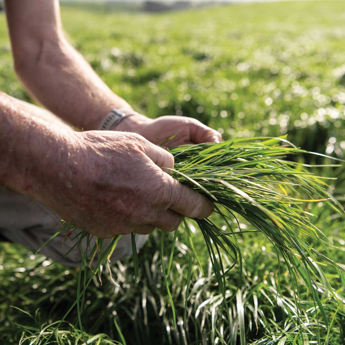 Summer Smarts Banner Overlay Option4 1500X1500