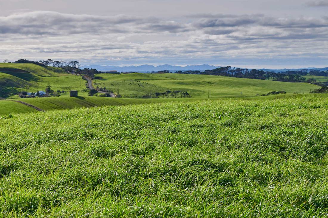 Resilient Pastures Banner Aug 2026 2000X1333