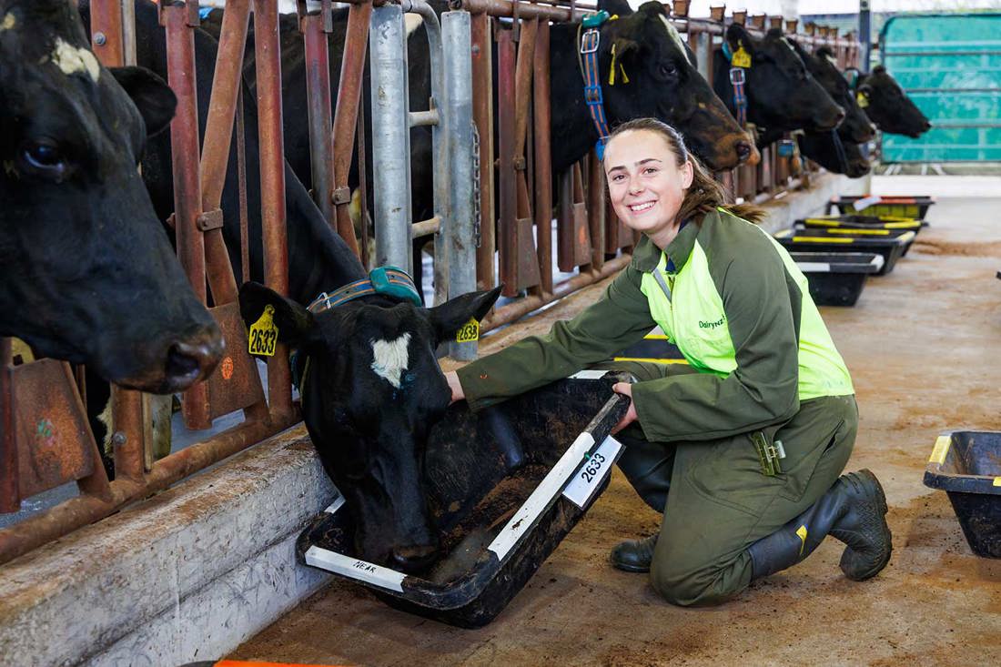 Feed Trial Eliza Hay Summary Image