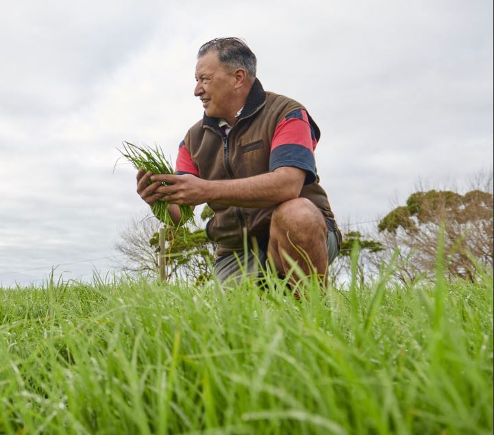 Resilient Pastures Programme Hero Centre Image