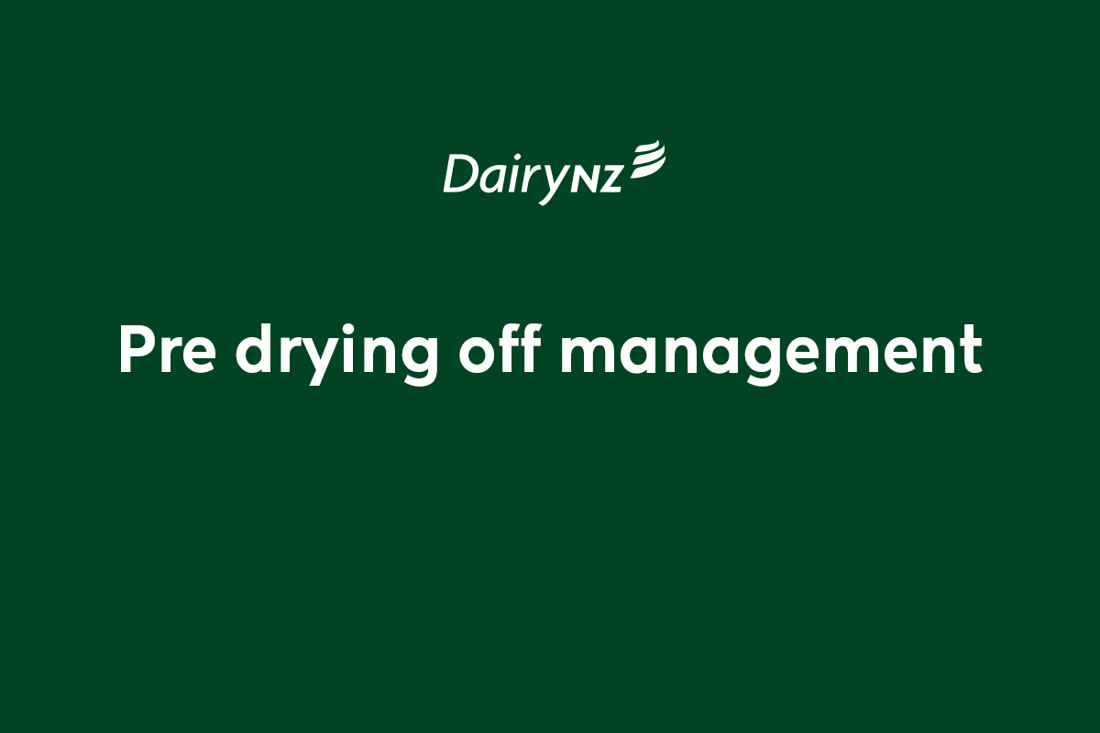 Pre Drying Off Management