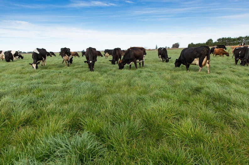 Rural Professionals Hub Environmental Advisor Latest Research Image