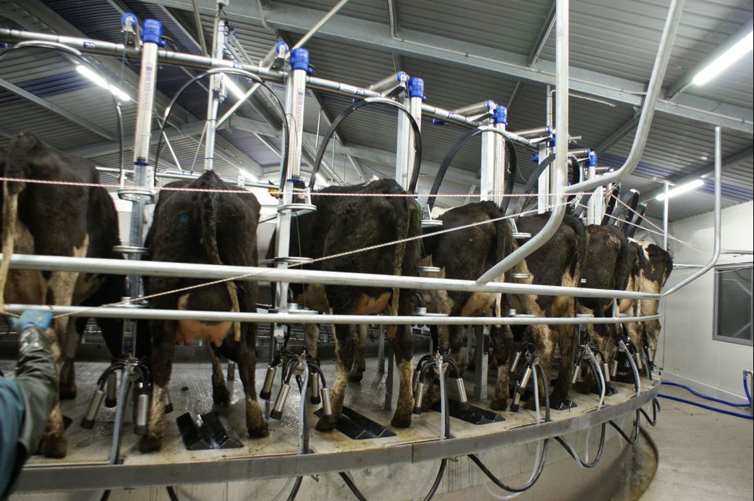 Camden Farms Rotary Dairy